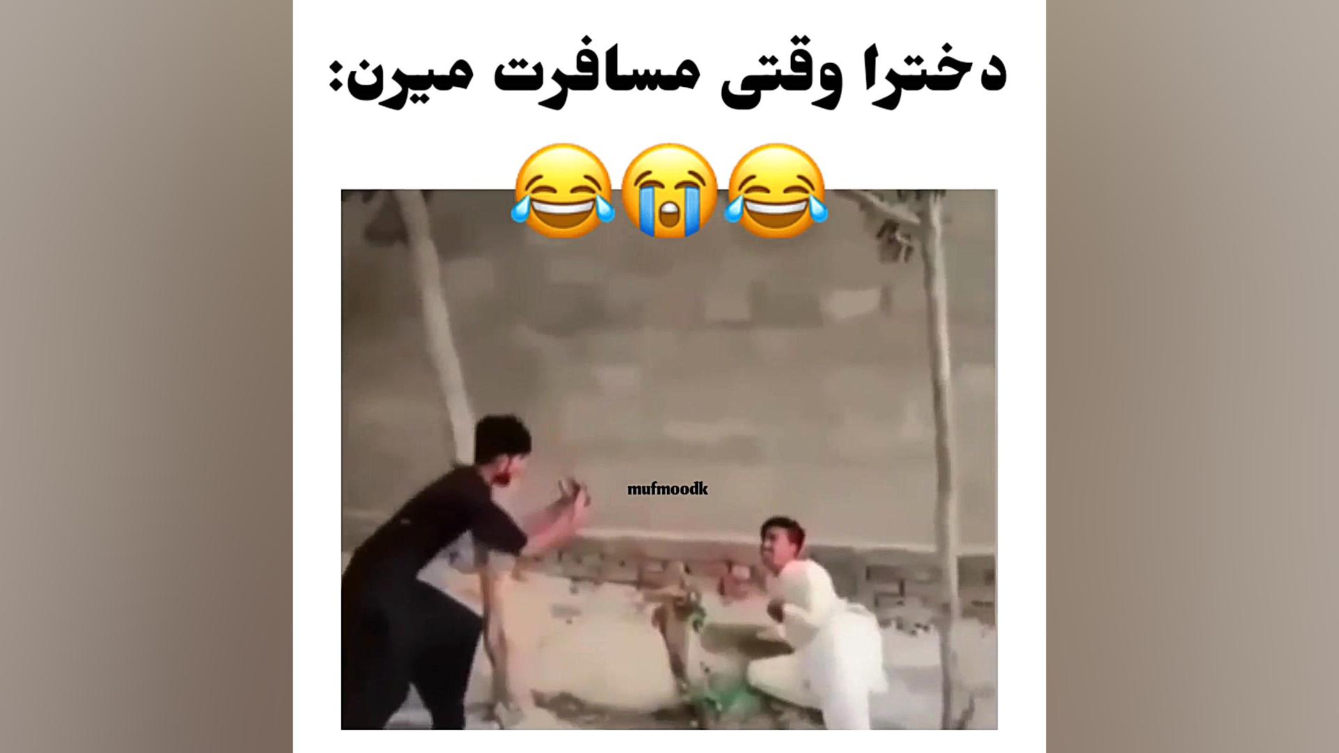 دخترا تو مسافرت