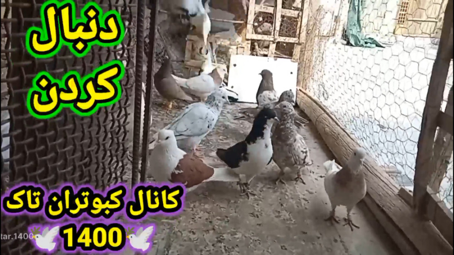 خوندن یا همون قور زدن تعدادی ا...