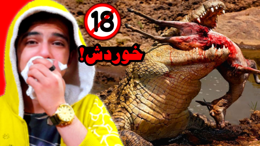 خشن ترین لحظات شکار حیوانات وح...