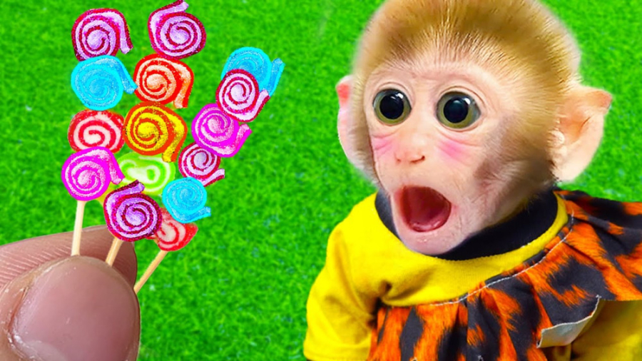 بچه میمون حیوانات خانگی | خورد...