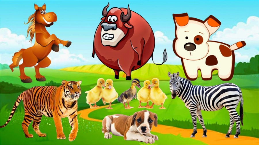 صداهای حیوانات با نام: میمون،...