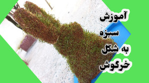 آموزش سبزه به شکل خرگوش اسفنجی...