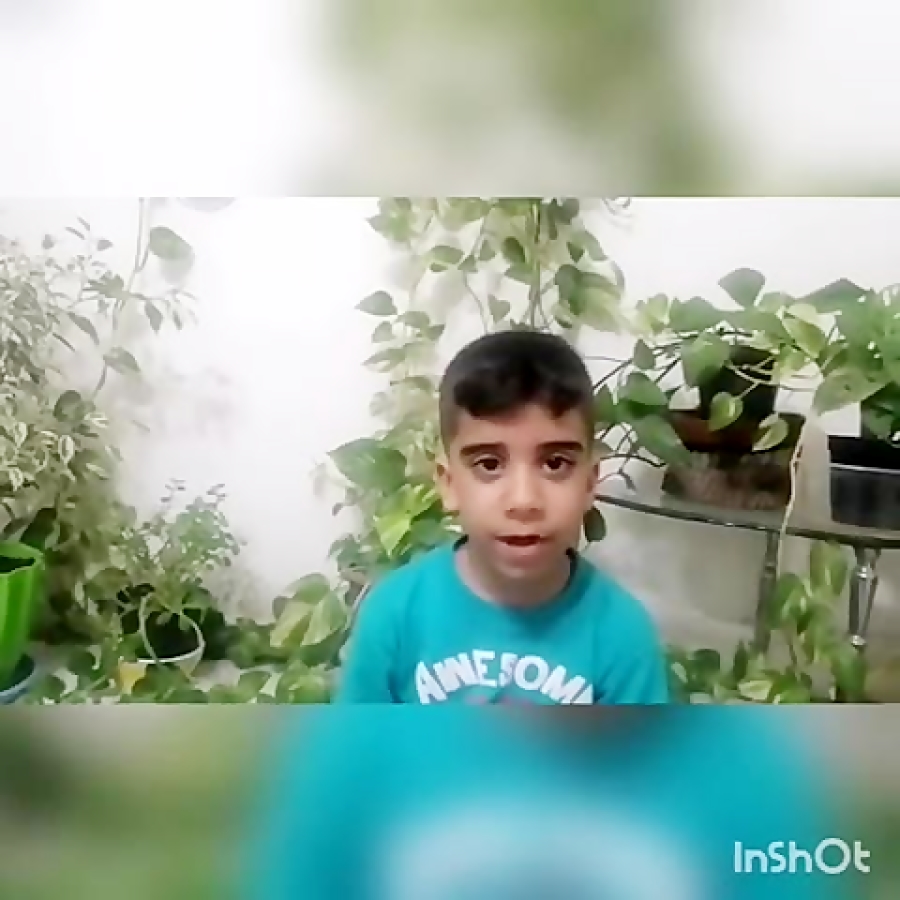مراحل رشد دانه ی لوبیا