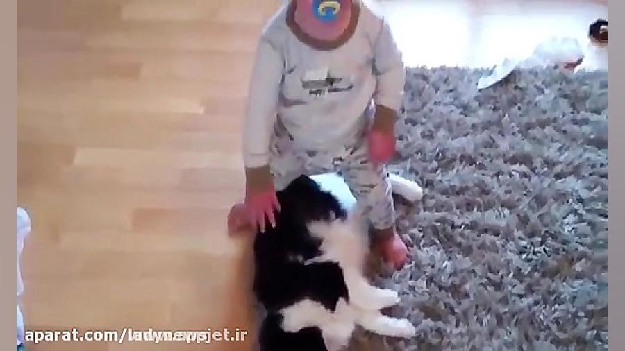 بچه ها و حیوانات خانگی (بامزه!...