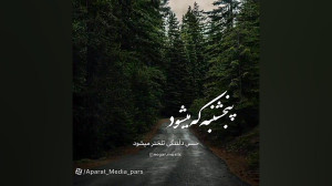 کلیپ دلتنگی برادر|دلتنگی خواهر...