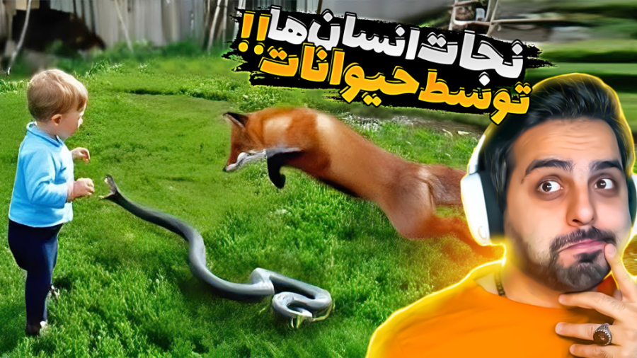 نجات جون انسان ها توسط حیوانات...