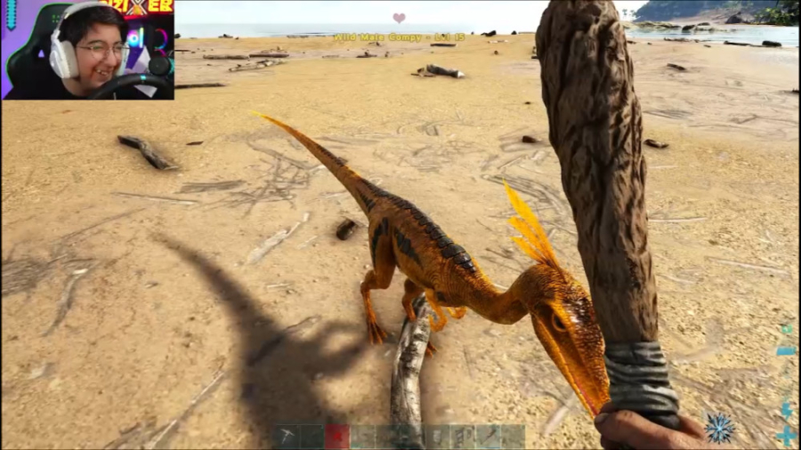 زندگی در میان دایناسور ها (4)...