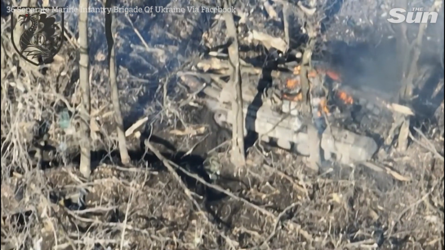 تفنگداران دریایی اوکراین مواضع...