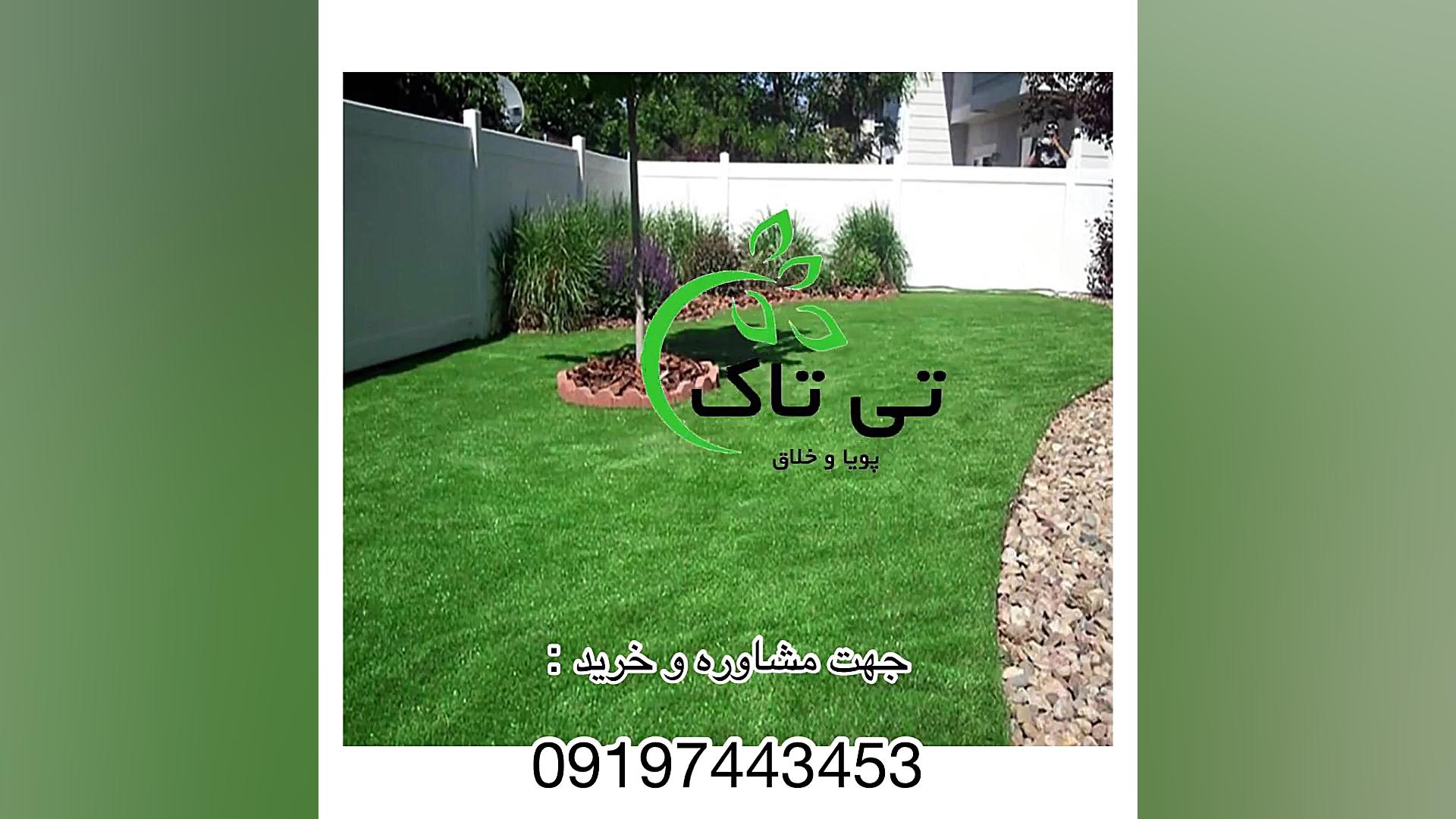 بذر چمن ، بذرچمن خارجی ، بذر چ...