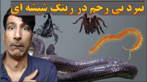 نبرد هیجان انگیز مار ،عقبرب ،ر...