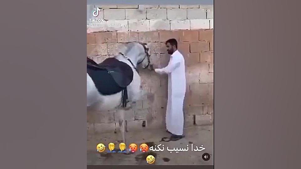 خنده دار حیوان و ادم