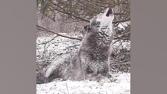 افتادن بچه روی مرد