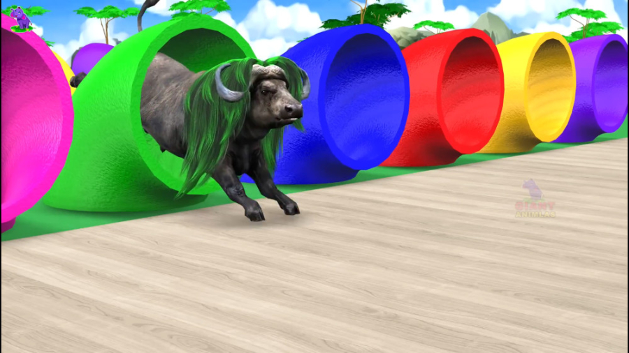 برنامه کودک حیوانات | بازی گور...