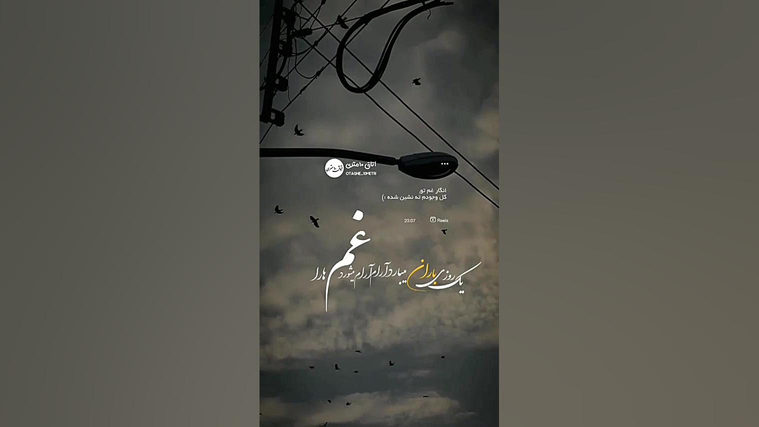 یک روزی باران میبارد میشوید غم...