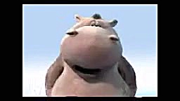 بربر دار بربر دار نان بربری