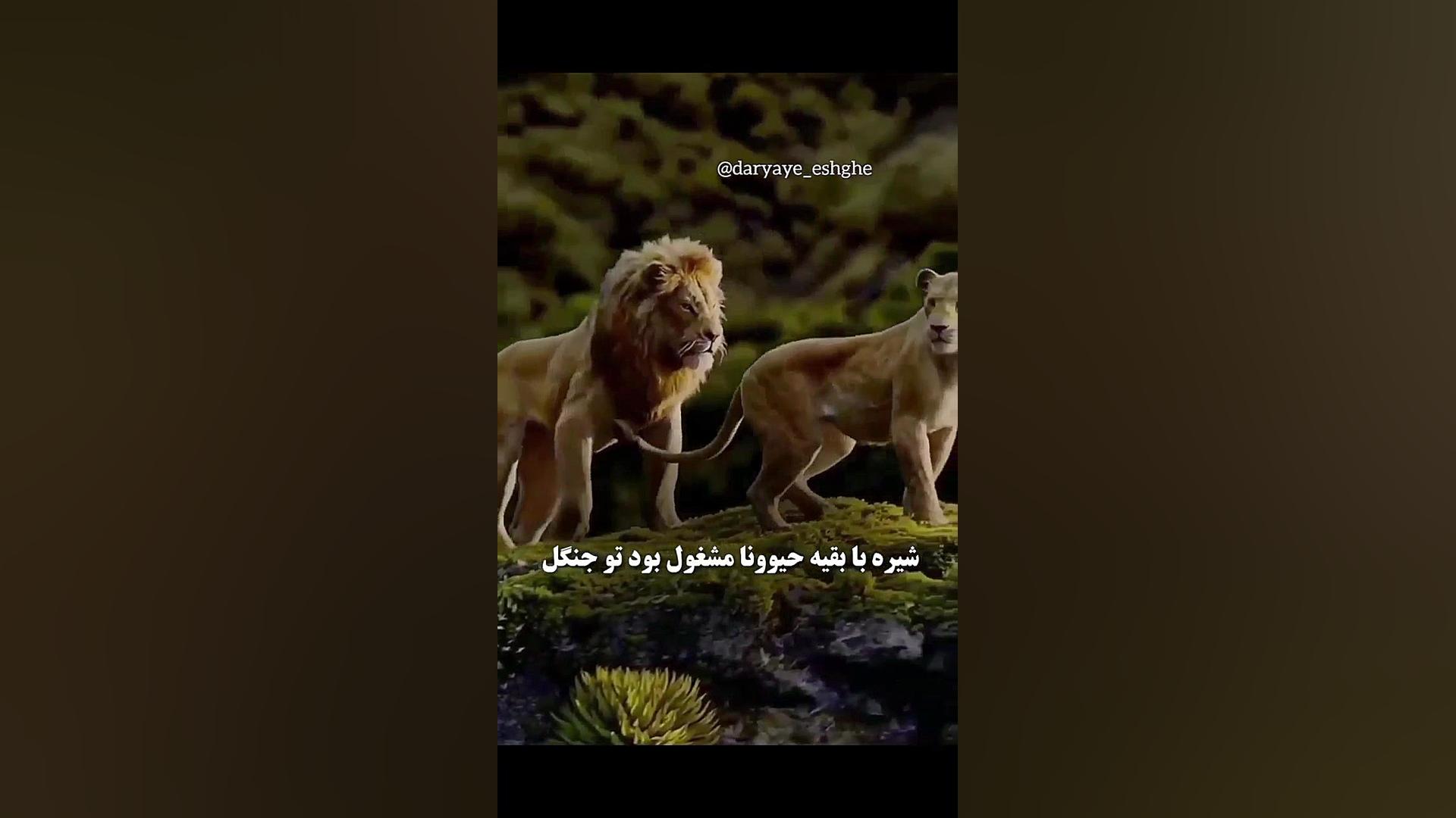 به همسرت احترام بزار خیانت نکن
