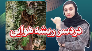 گیاهان آپارتمانی | بدترین ویژگ...