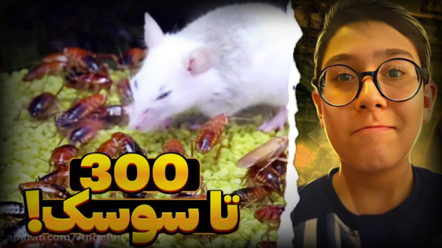 نبرد 300 تا سوسک و یک موش !! ح...