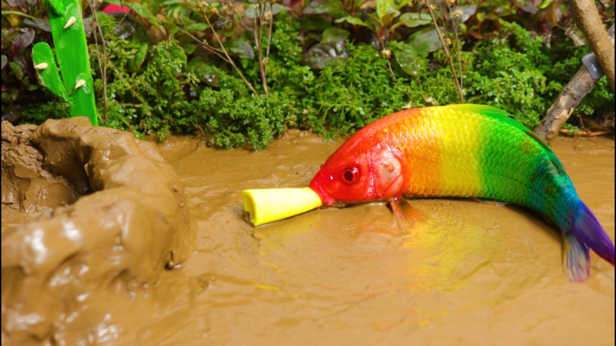 برنامه کودک ماهی ها | حمله خرچ...