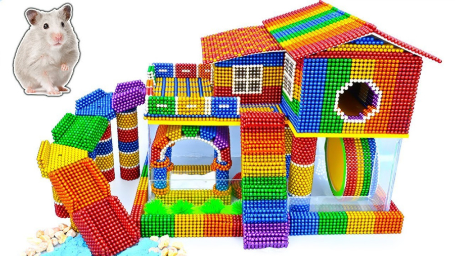 ساخت خانه رنگارنگ همستر برای ح...