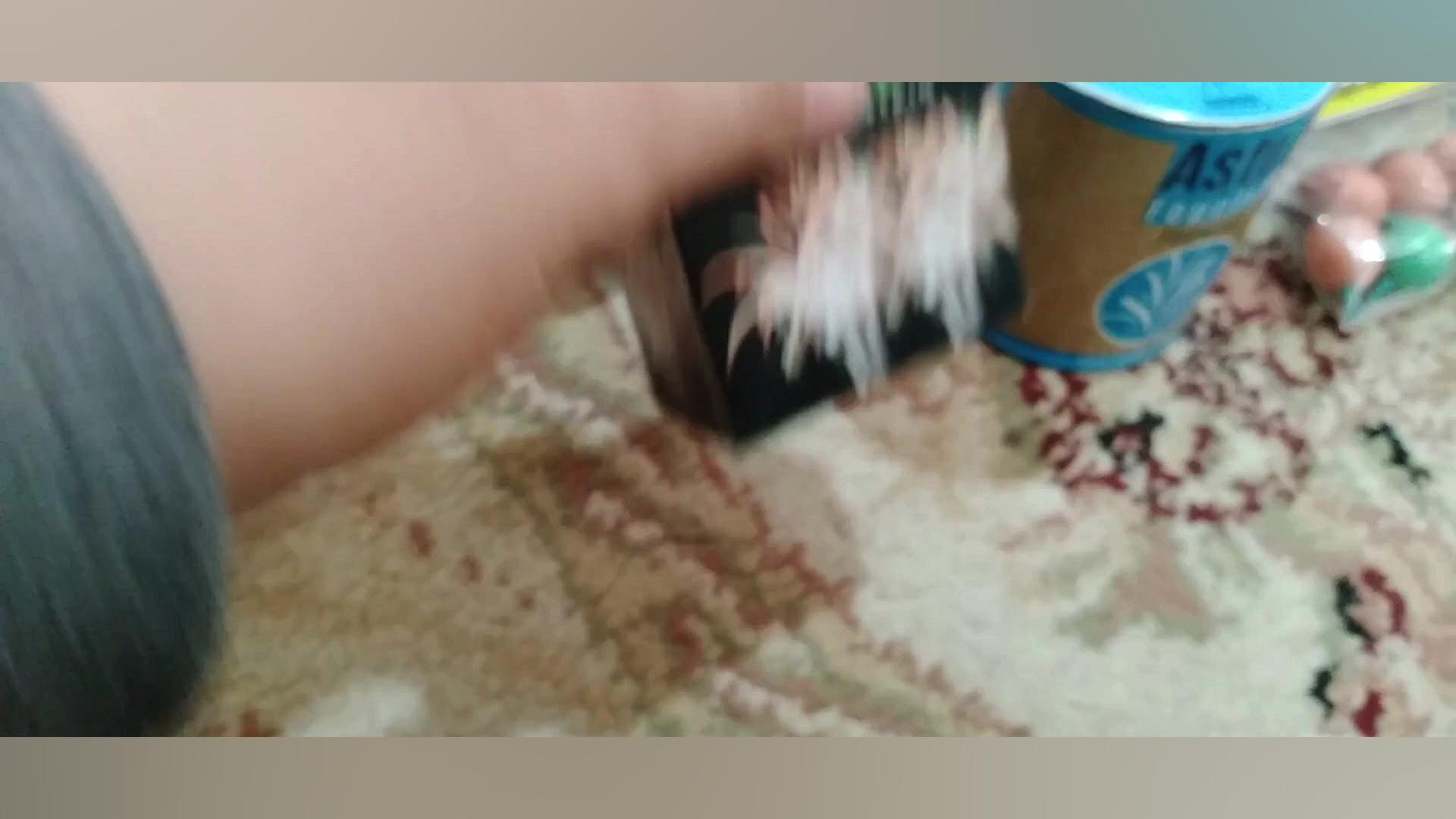 ترقه های من برای چهارشنبه سوری...