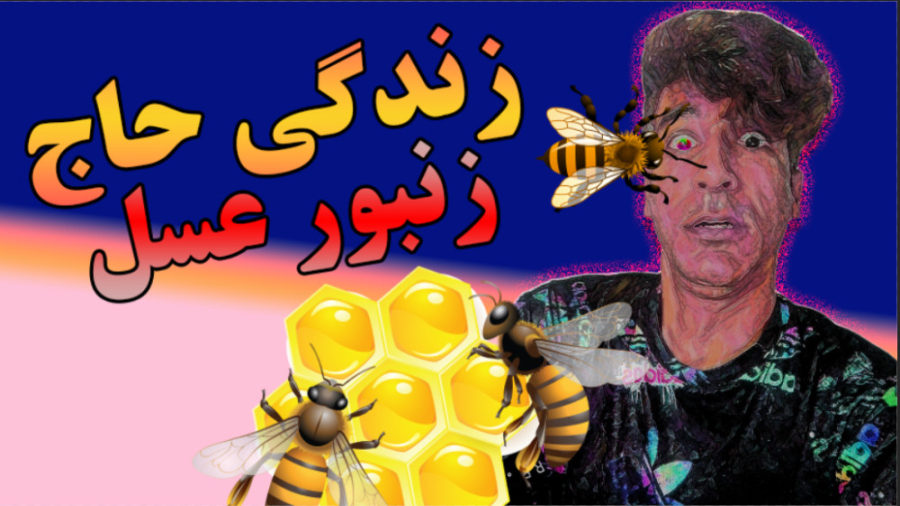 بررسی زندگی زنبور عسل