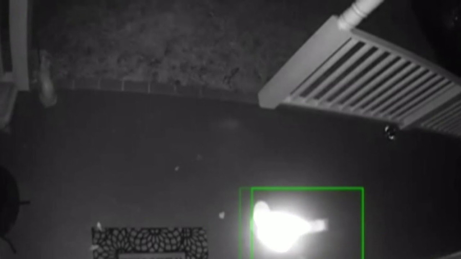 مشاهده شدن موجودات ناشناخته نو...