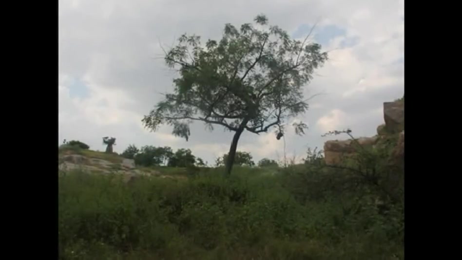 سوز دل تقدیم به هموطنان بوشهری