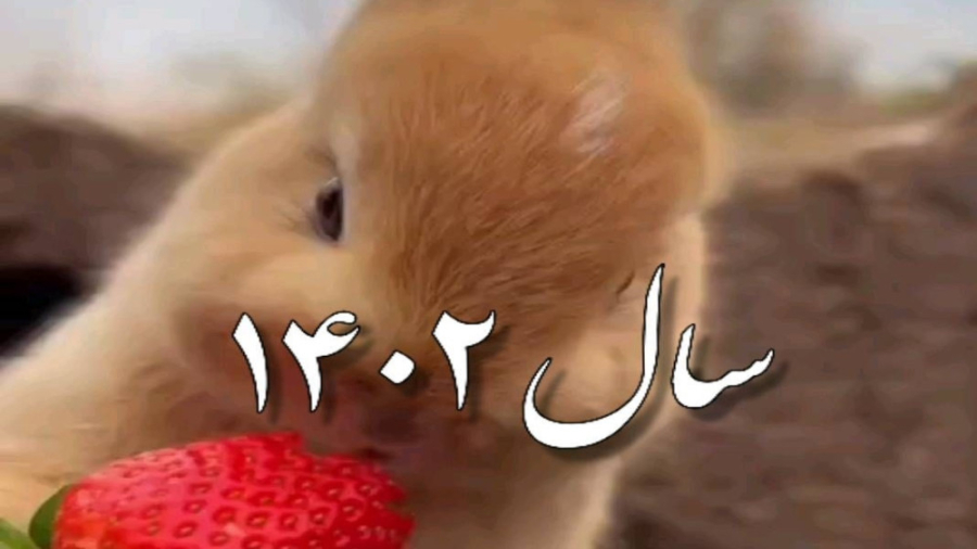 کلیپ زیبای تبریک سال 1402 با ت...