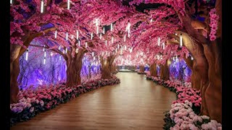 دوست داری اینجا ازدواج کنی ؟ ی...