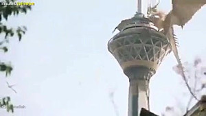 دیده شدن اژدها در برج میلاد
