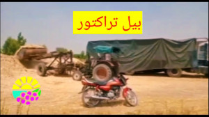 بیل تراکتور