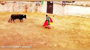 حمله گاو به روت وایلر