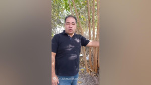 تولید دسته بیل تجارتی پر سود