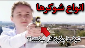 شوکر ها چگونه کار میکنند؟!! ان...