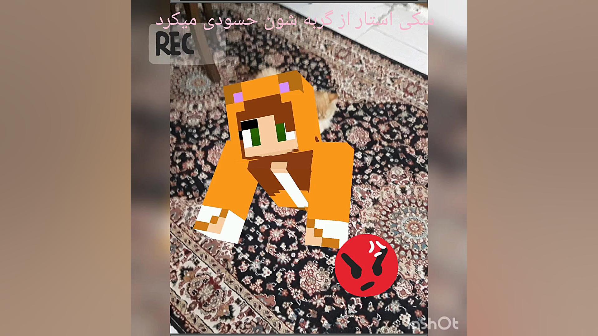 ماجراهای سکی استار