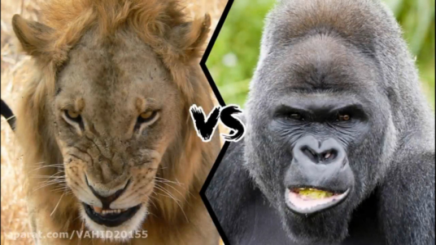 جنگ باورنکردنی حیوانات 2023  ن...