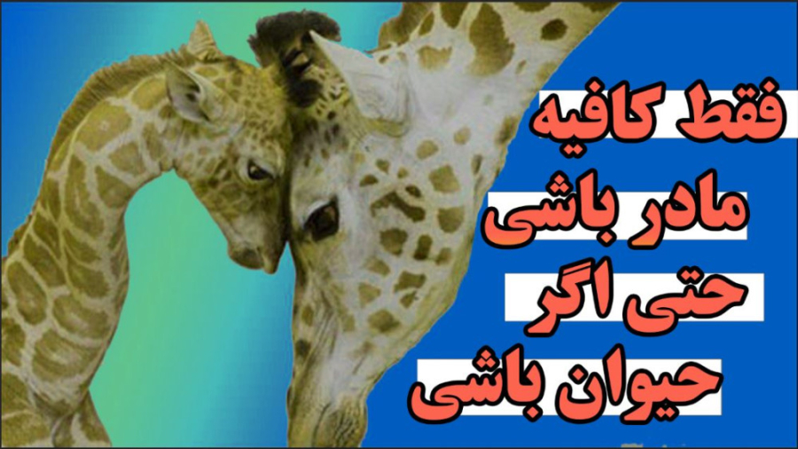 فداکاری حیوانات مادر برای توله...