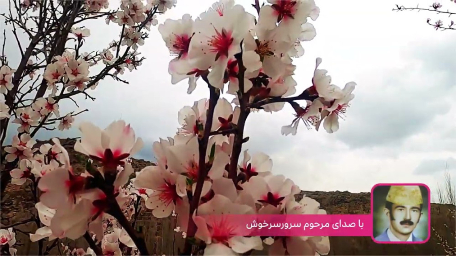 آهنگ هزارگی قدیمی | آهنگ هزارگ...