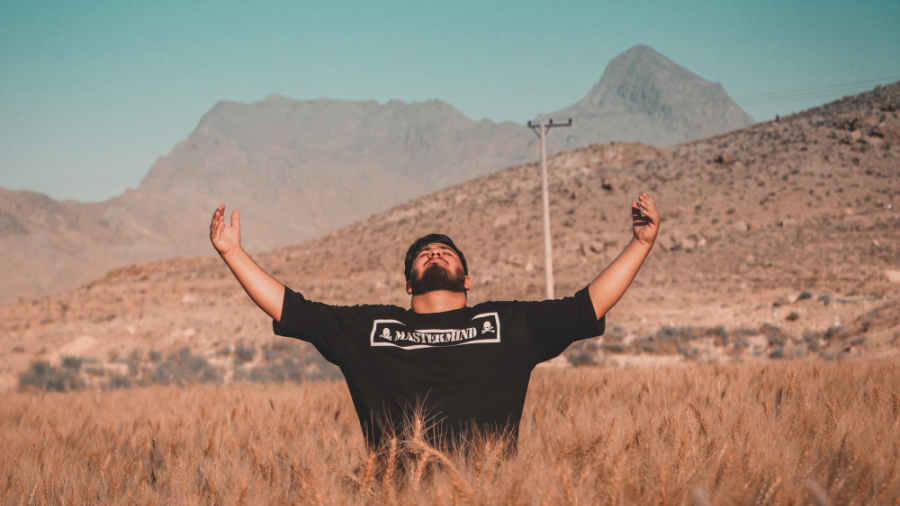 ایده عکاسی در طبیعت و گندم زار...