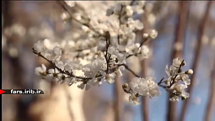 ترانه شاد و زیبای &quot; بهار...