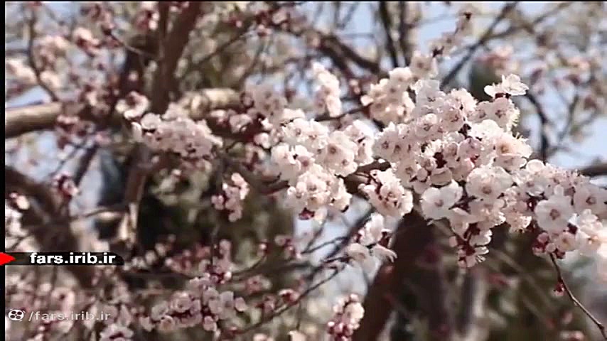 ترانه شاد و دوست داشتنی &quot;...