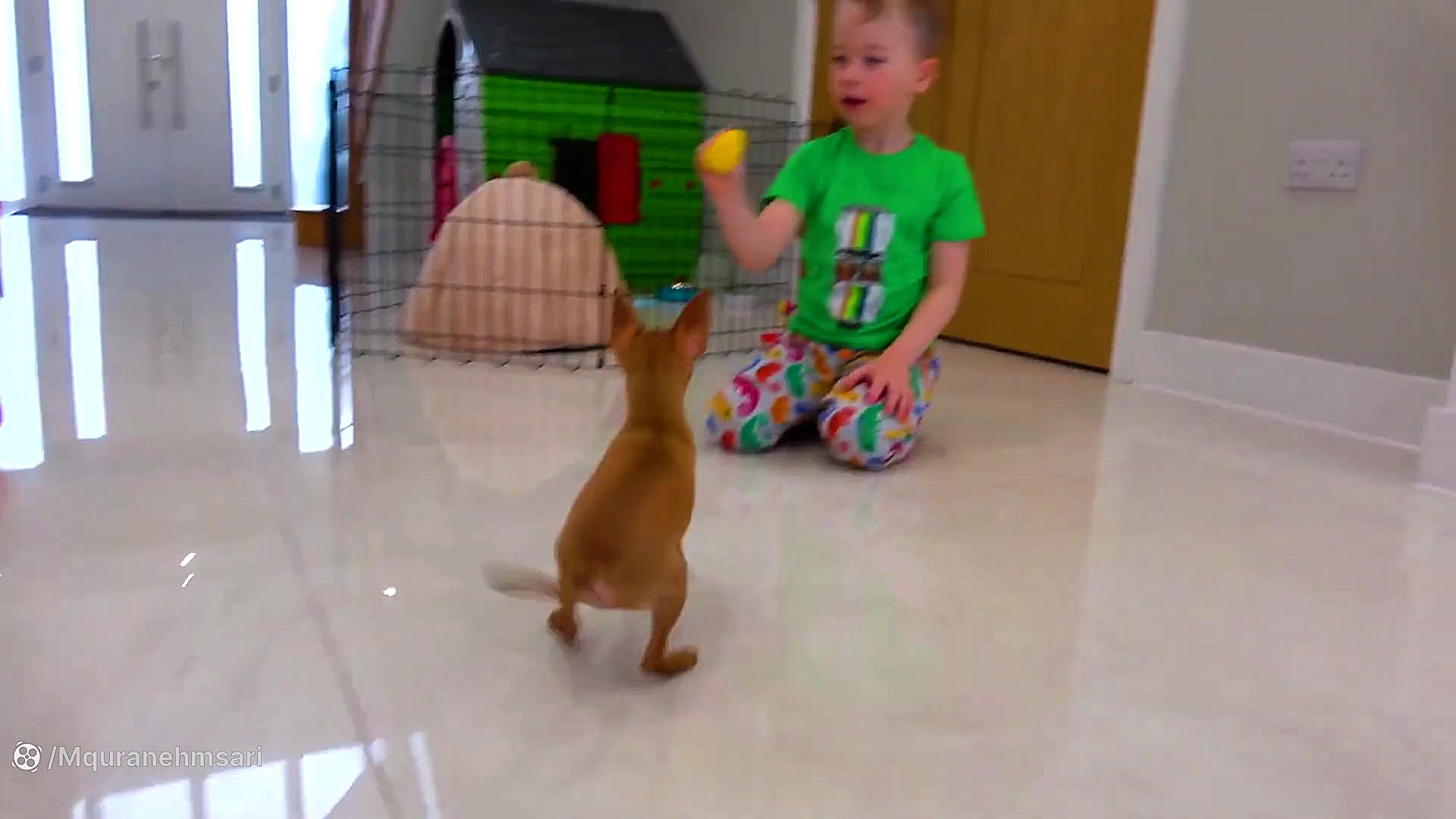 گبی و الکس از یک توله سگ مراقب...