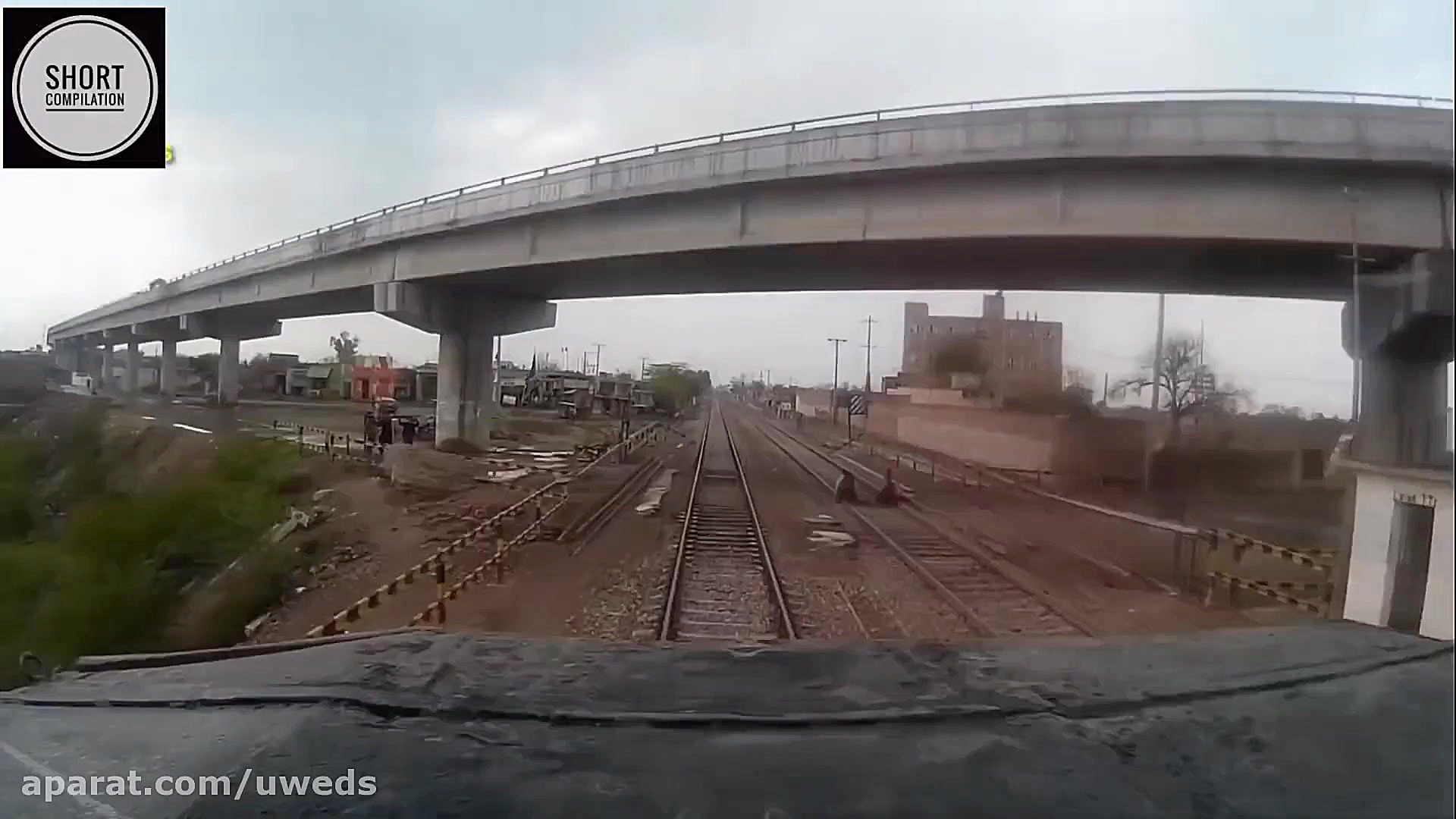 تصاویر از تصادف حیوانات با قطا...