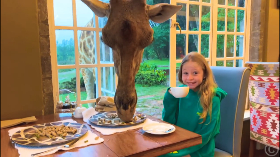 برنامه کودک نستیا به زبان انگل...