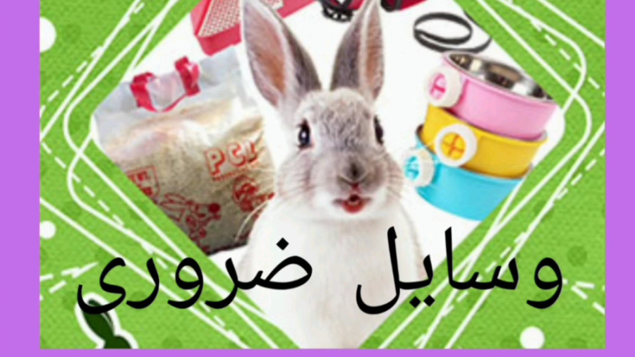 وسایل ضروری برای نگهداری خرگوش