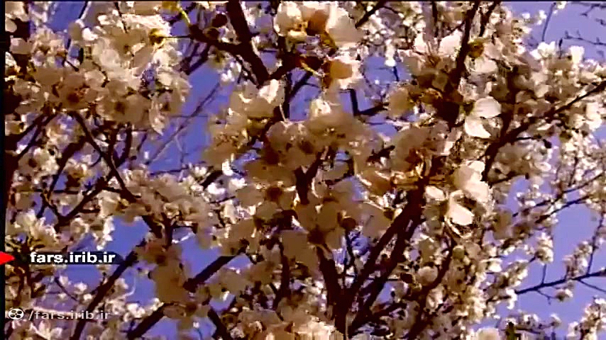 ترانه شاد &quot; آغوش بهار &qu...