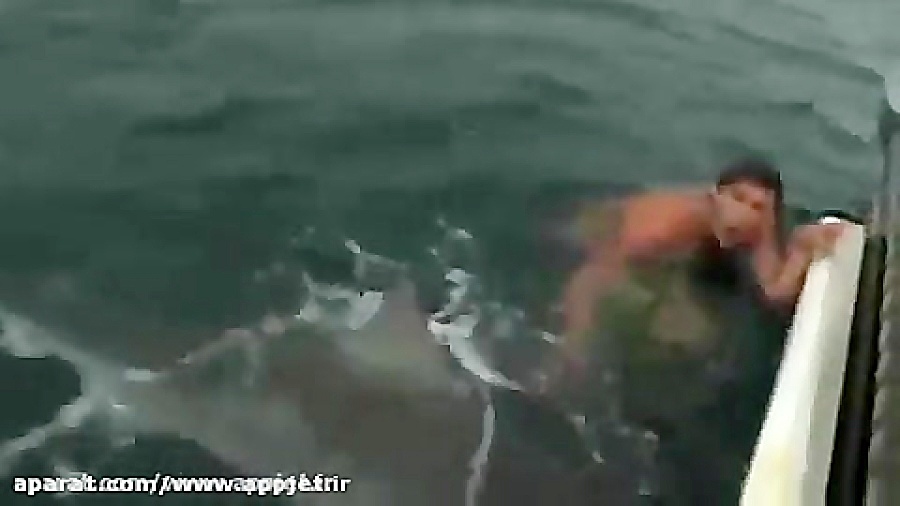 حمله کوسه به انسان 18