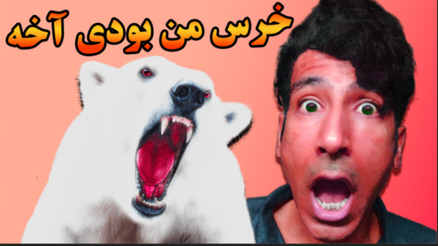 خرس قطبی چطوری توی سرمای شدید...