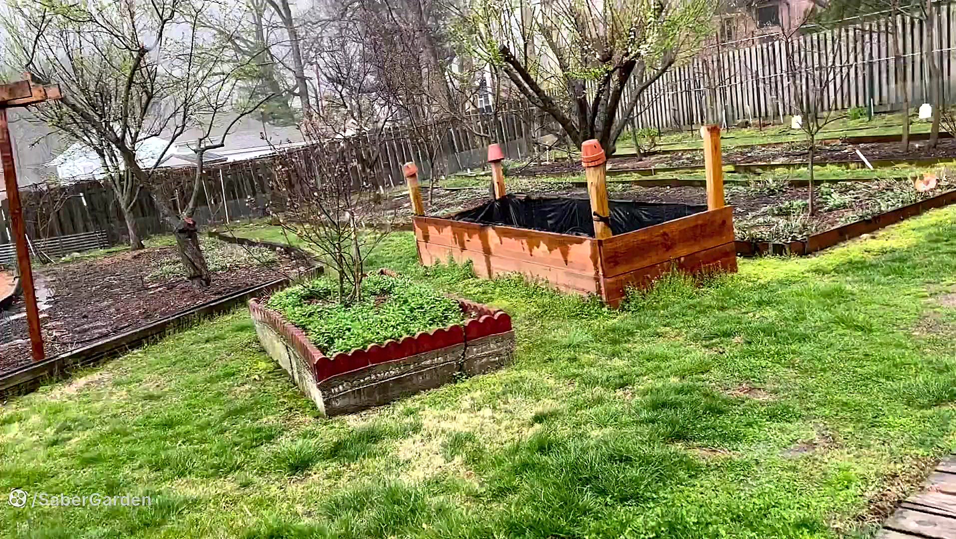 صابر بابایی: باران دل انگیر به...